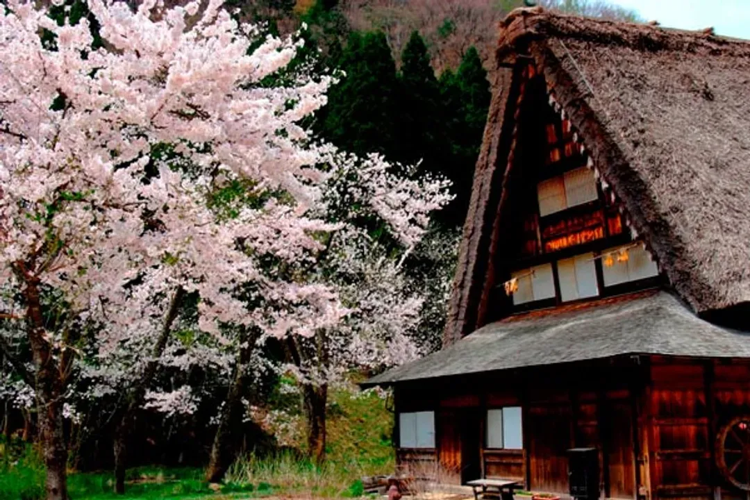 白川鄉合掌村