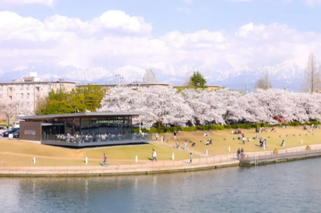 花現北陸～櫻百選霞間溪、合掌村兼六園、長島名花之里、天命反轉溫泉香五日