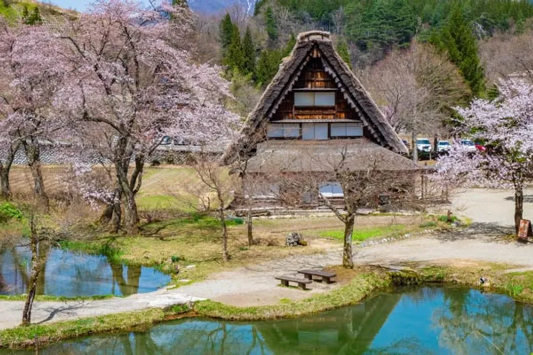 白川鄉合掌村