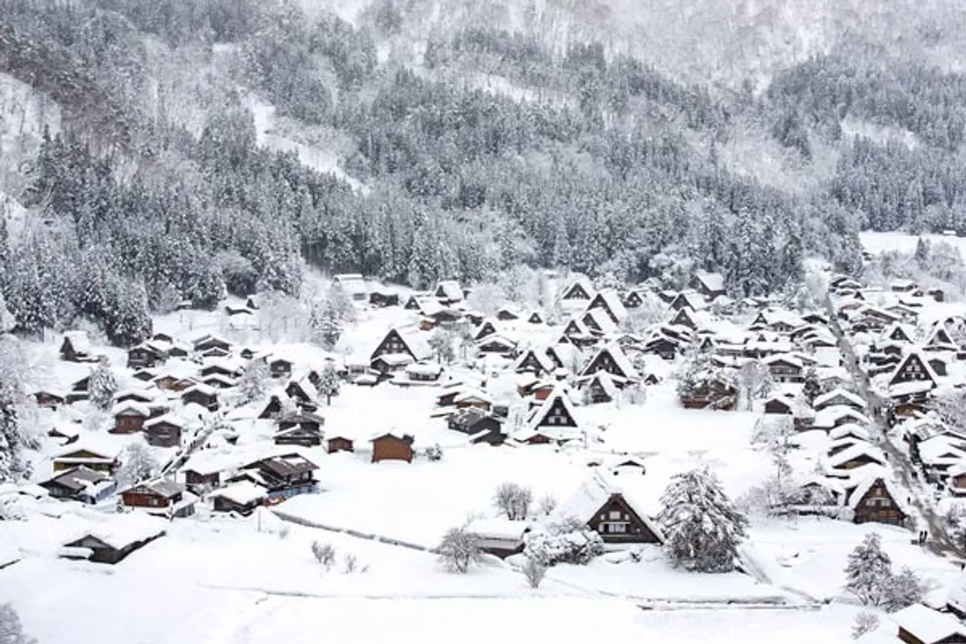 北陸FUN寒假～樂高樂園、恐龍博物館、牧歌之里戲雪、郡上八幡三項好禮五日-5