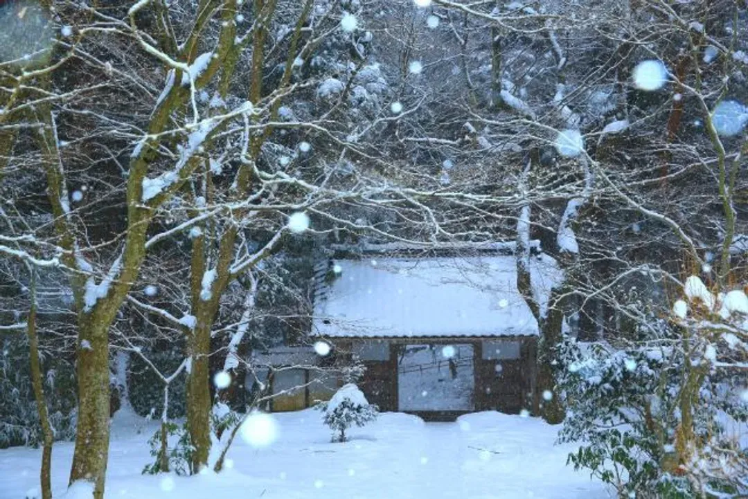 東北Emotion列車~星野青森屋飯店、八甲田樹冰纜車、猊鼻溪雪見舟、愉快美食饗宴五日-6