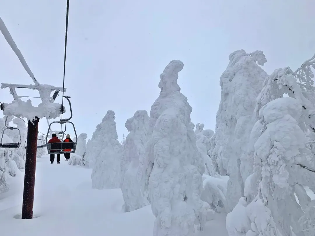 藏王樹冰纜車(包含防寒雪衣、雪鞋與手套)