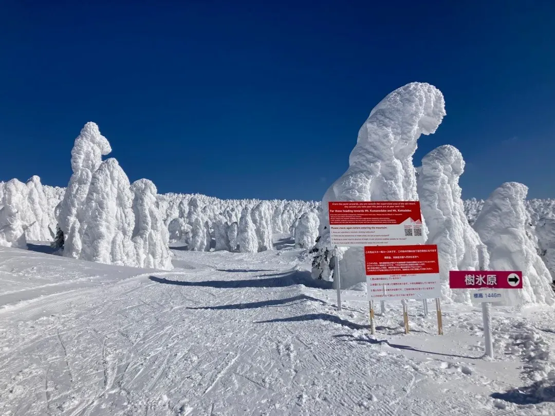 藏王樹冰纜車(包含防寒雪衣、雪鞋與手套)