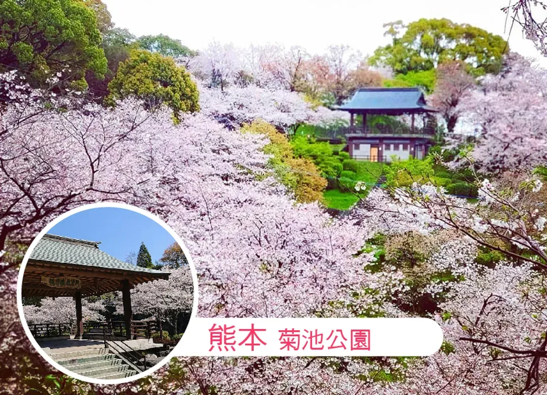 九州櫻花戀雙溫泉5日.舞鶴公園.巨瀨川櫻並木.竹田岡城址.神話高千穗峽.熊本城.夢幻金鱗湖.別府湯布院小鎮-5