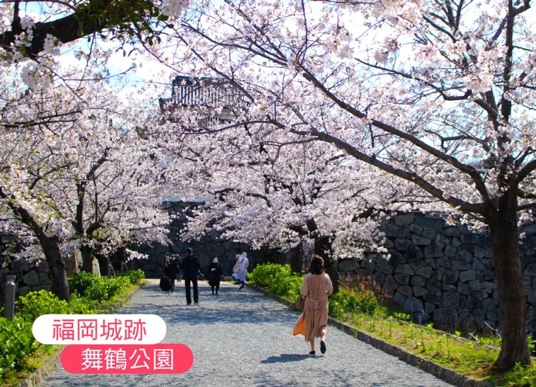 九州櫻花戀雙溫泉5日.舞鶴公園.巨瀨川櫻並木.竹田岡城址.神話高千穗峽.熊本城.夢幻金鱗湖.別府湯布院小鎮-6