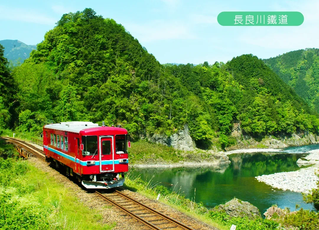 台中名古屋星宇北陸5日.高山小京都.季節採果.白川鄉合掌村.惠那峽遊船.名花之里.名古屋城.長良川鐵道.敘敘苑燒肉-5