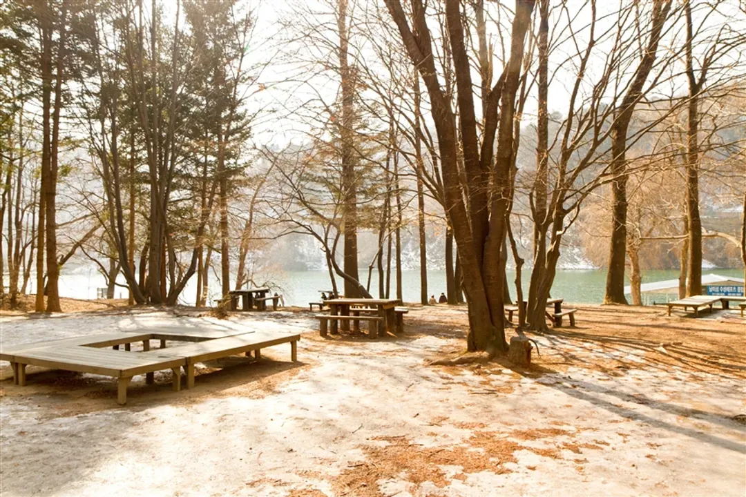 冬遊首爾｜嗨玩樂天世界．滑雪體驗．舒暢汗蒸幕．景福宮韓服體驗．書卷氣息圖書館．品味吮指炸雞五日｜高雄