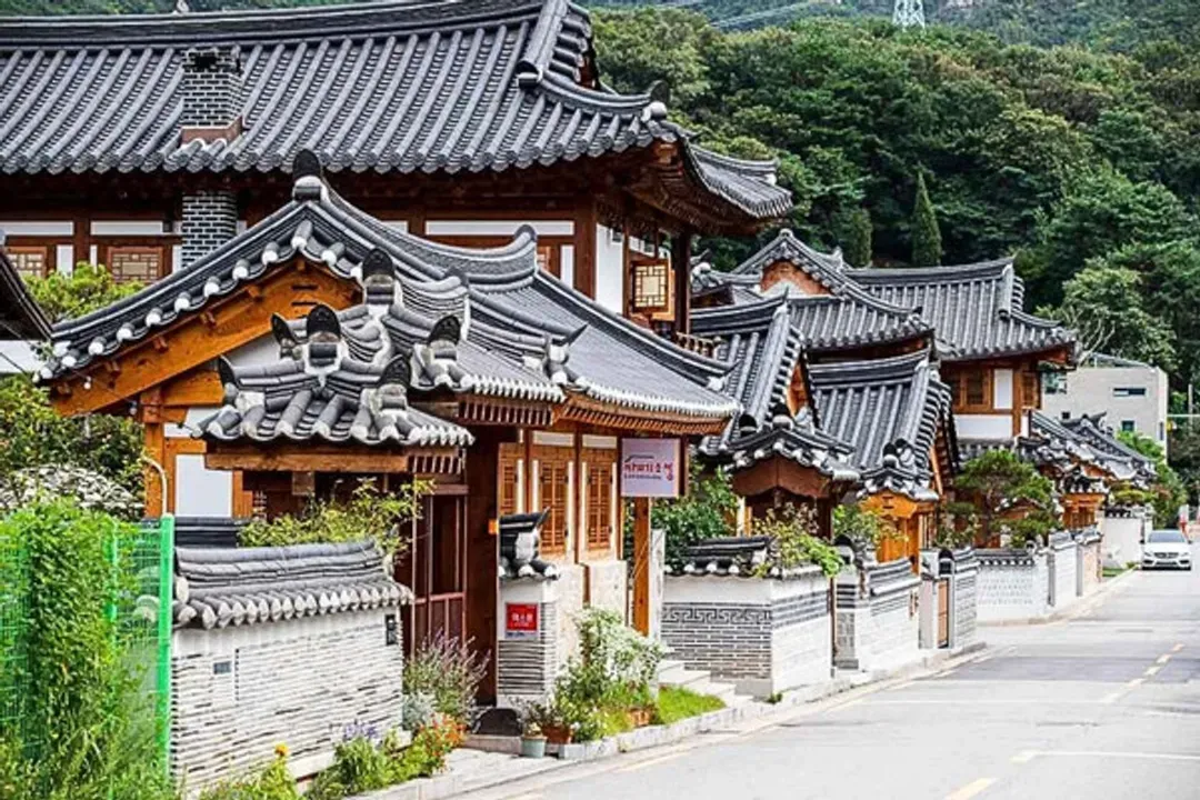 賞楓賞銀杏｜首爾旅遊｜紅葉峽谷天空之橋.金黃銀杏最美街道.浪漫粉黛亂子草.抱川採果餵羊.星空圖書館五日｜大韓航空｜台中出發-6