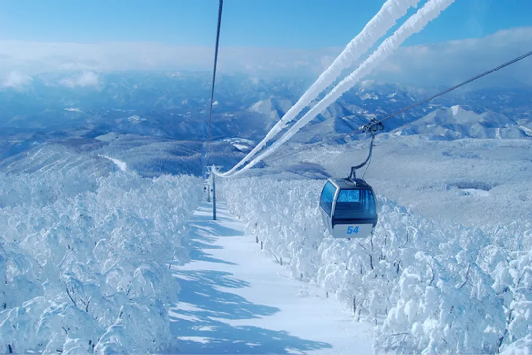 森吉山阿仁樹冰纜車(雪上活動)