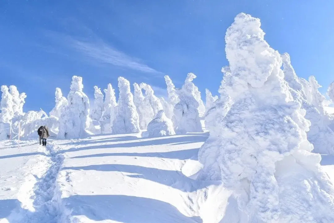 森吉山阿仁樹冰纜車(雪上活動)