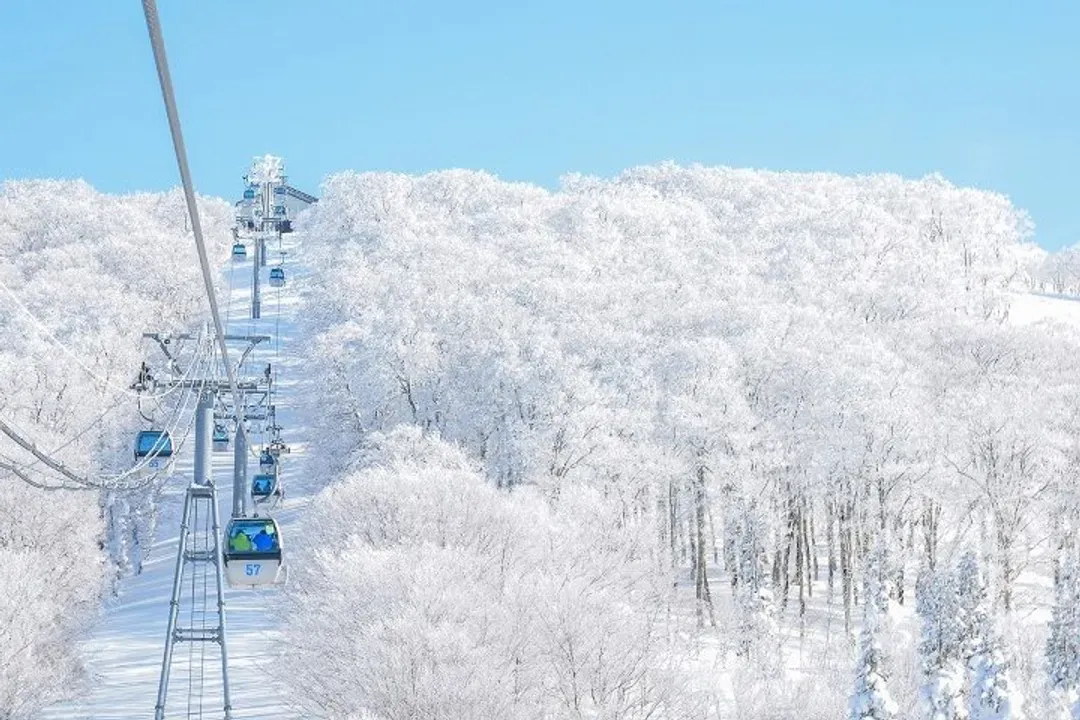 森吉山阿仁樹冰纜車(體驗雪上活動)