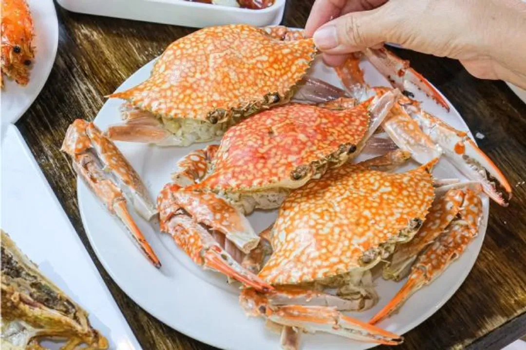 人氣海鮮餐廳吃到飽