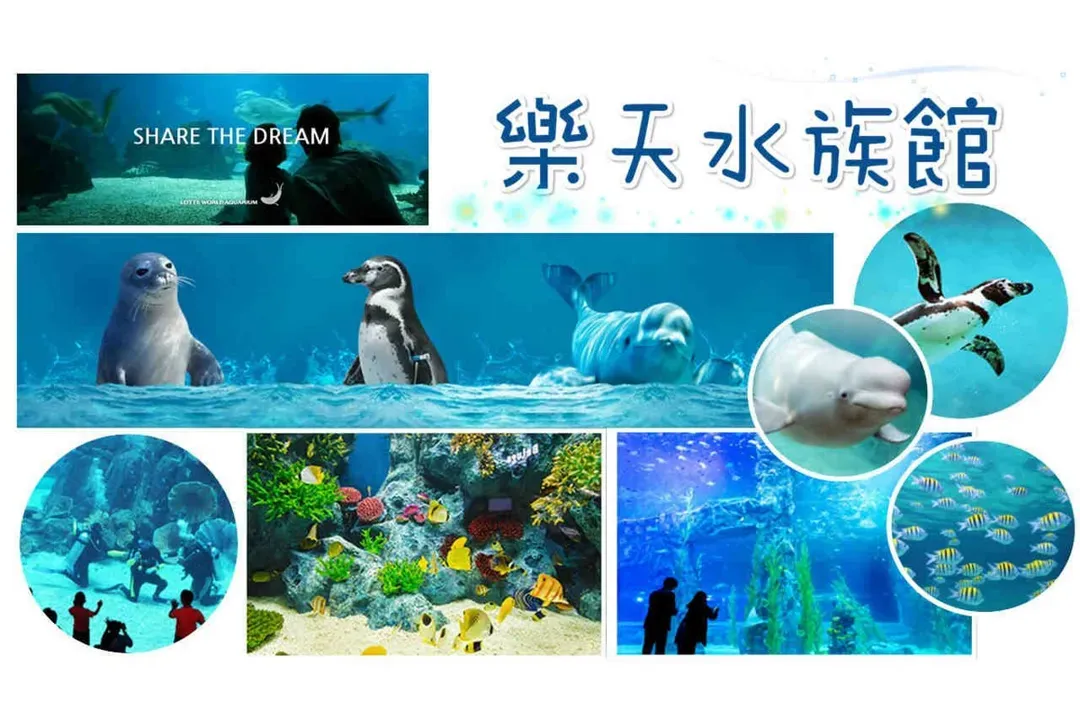 樂天雙主題(樂天世界+樂天水族館)