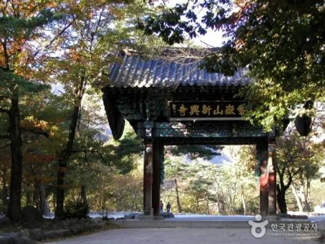 雪嶽山國立公園(賞楓+纜車來回+新興寺)