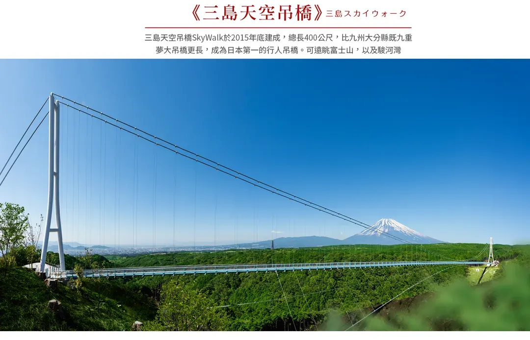 【伊豆花季５日】河津櫻、熱海梅園、大室山、海景溫泉[含稅]-5