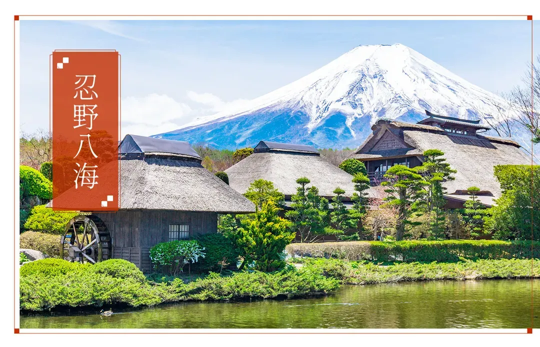 【伊豆花季５日】河津櫻、熱海梅園、大室山、海景溫泉[含稅]-6