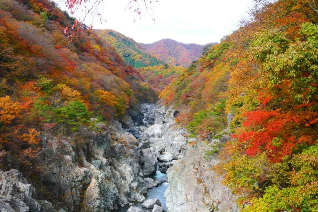 輕奢行│高雄出發．關東楓紅雙鐵道│東京五星飯店．東武SPCIAX特急．日光東照宮．中禪寺湖遊船．渡良瀨溪谷小火車│溫泉5日-5