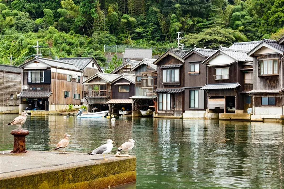 閃GO搶京阪│海之天橋立.伊根舟屋.達摩勝尾寺.伏見稻荷大社.嵐山渡月橋.都會漫遊五日