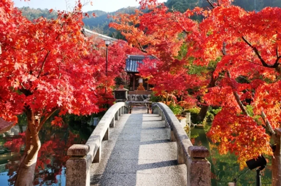 永觀堂(禪林寺)