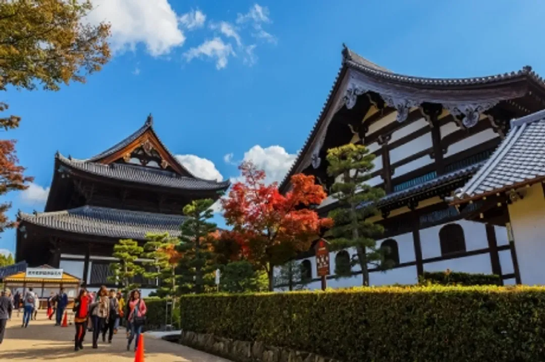 東福寺楓葉