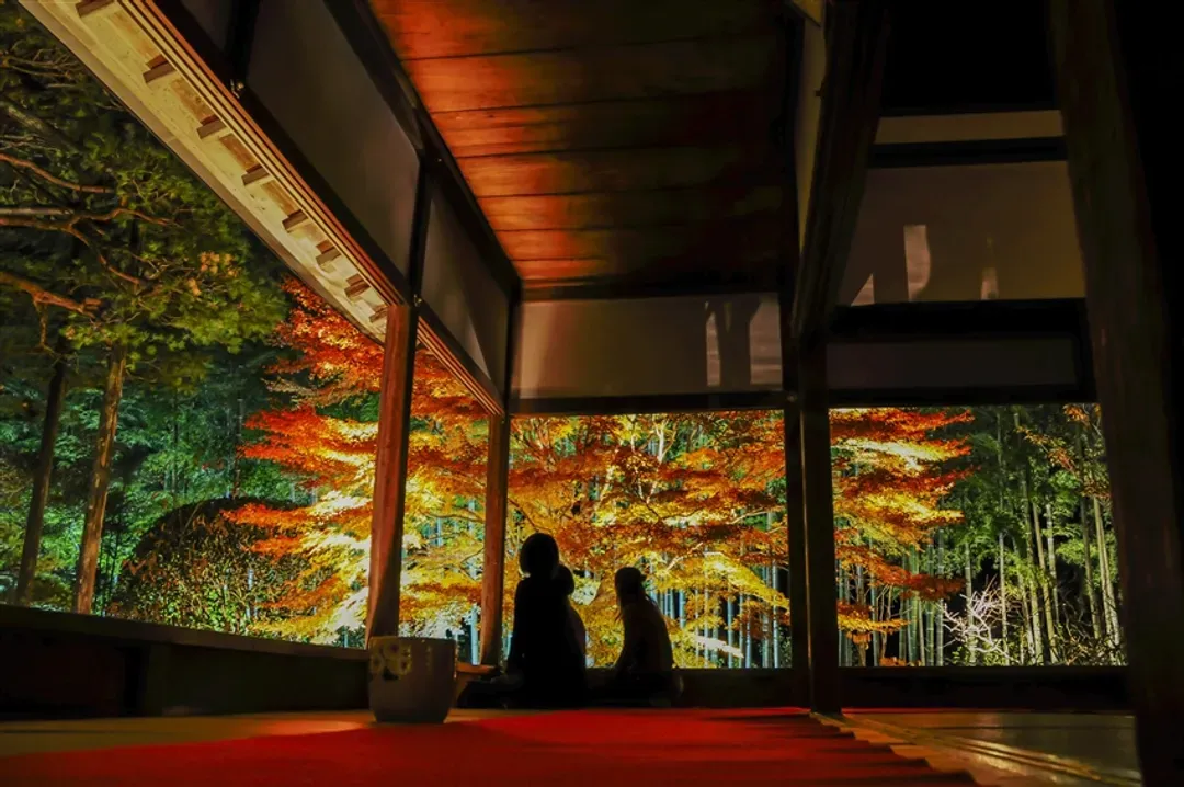 秋魅楓紅經典京阪神奈旅遊｜紅葉祕境大原三千院,奈良梅花鹿,永觀堂,東福寺,嵐山渡月橋五日｜二晚五星