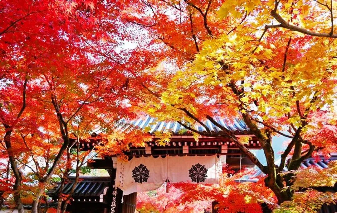 永觀堂(禪林寺)