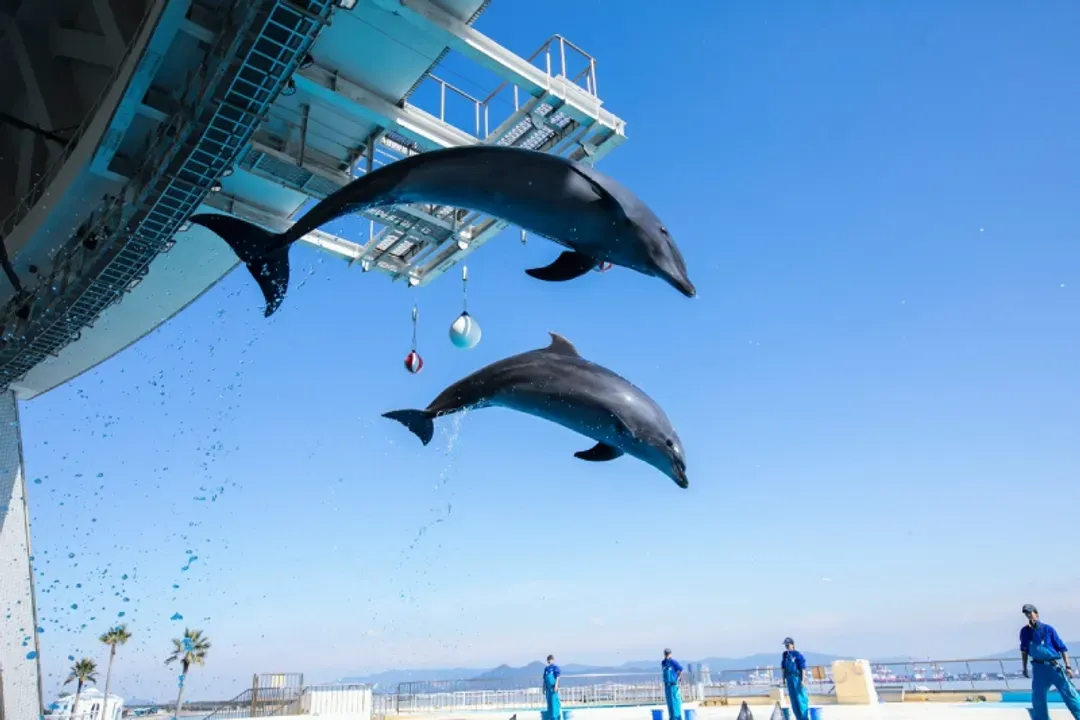 海之中道水族館