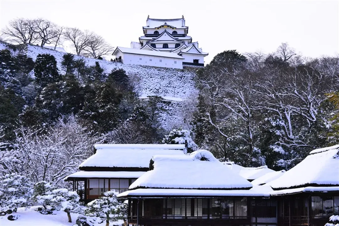 北陸冬季盛事~2027白川鄉合掌村點燈!兼六園.高山古街.國寶彥根城.採草莓.貼金箔體驗.A5飛驒牛.雙溫泉五日|保住兩晚萬怡-8