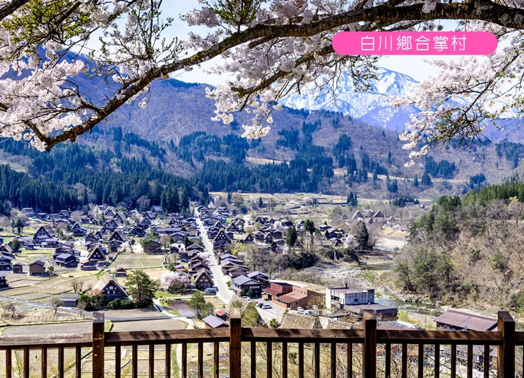 【高雄出發】北陸立山黑部雪牆5日.升等雙溫泉.米其林合掌村.長良川鐵道.花海.兼六園.上高地.採果樂.螃蟹吃到飽-5