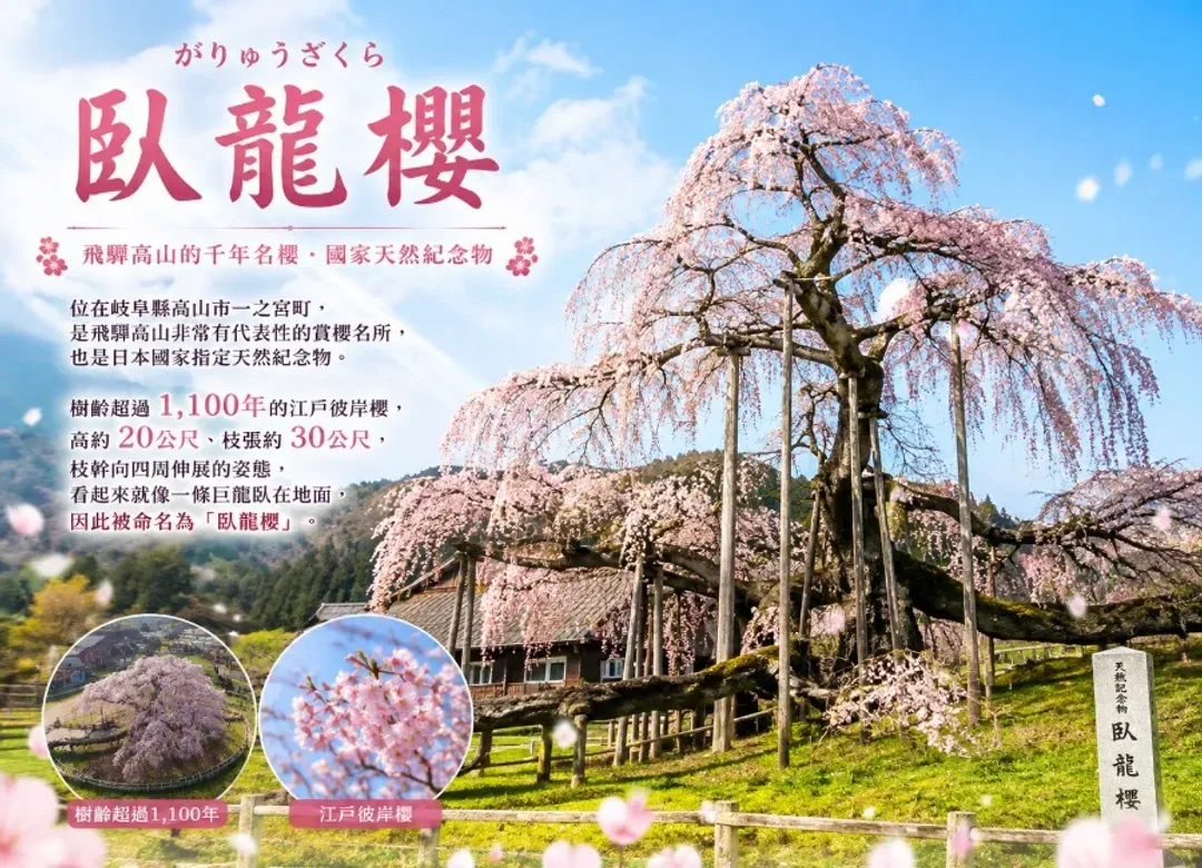 愛上立山黑部雙溫泉5日.下呂溫泉.戀愛神社.上高地.白川鄉合掌村.兼六園.櫻花芝櫻.金箔冰淇淋.飛驒牛料理-6