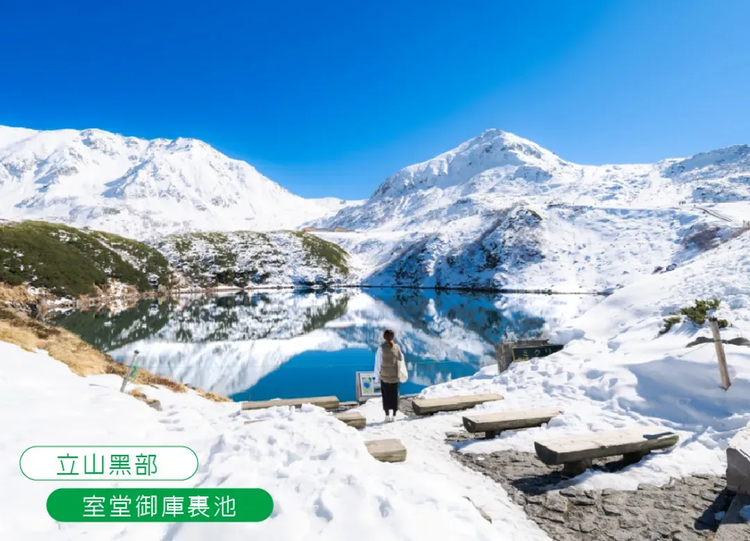 台中出發.星體驗立山黑部溫泉5日一晚五星.雪之大谷.月兔之里.合掌村.兼六園.近江八幡.甜蝦吃到飽.採草莓.蕎麥麵體驗