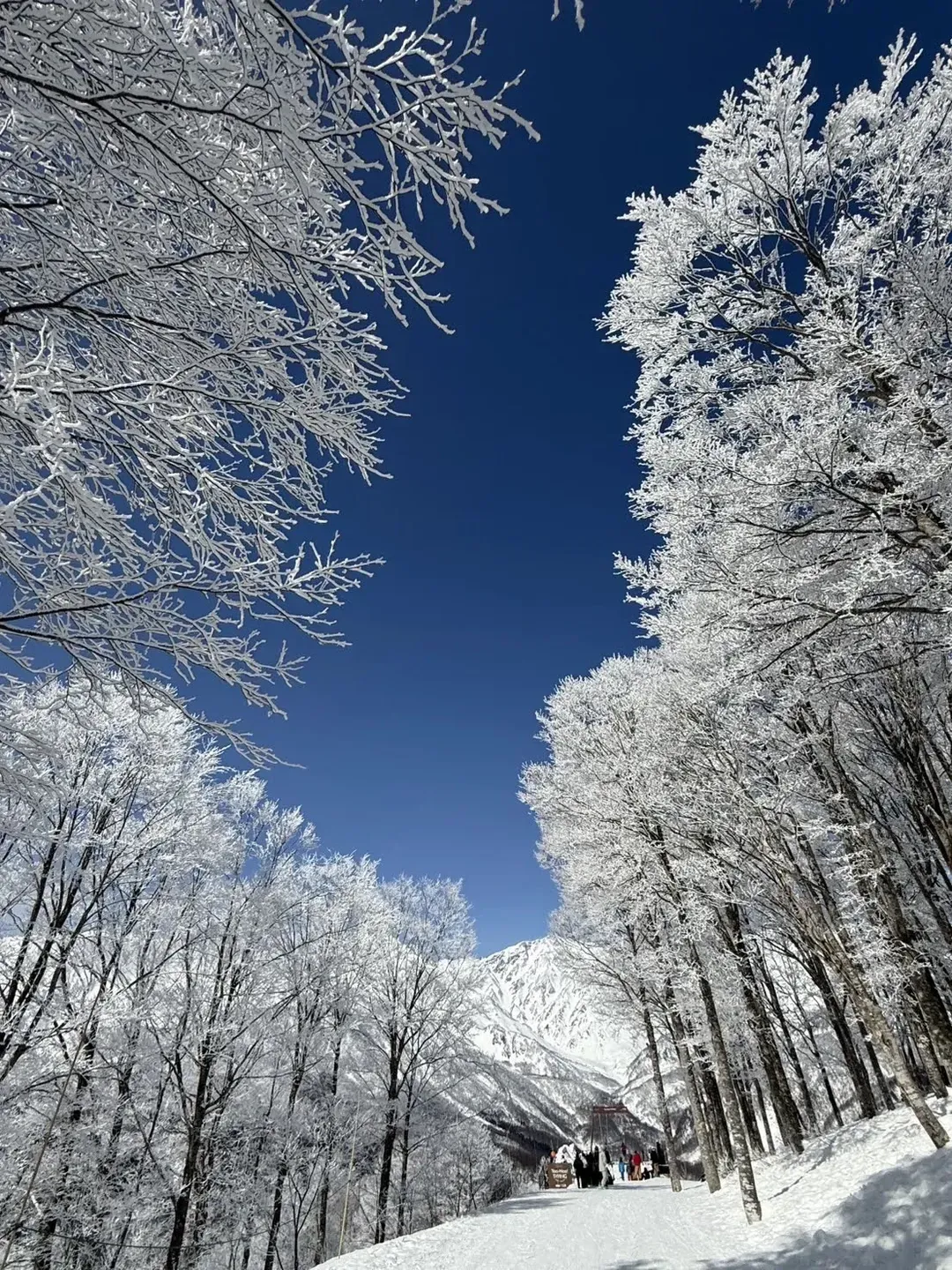 白馬滑雪全包式套裝｜含住宿/2日私人教練/全套雪具/雪場接送-6