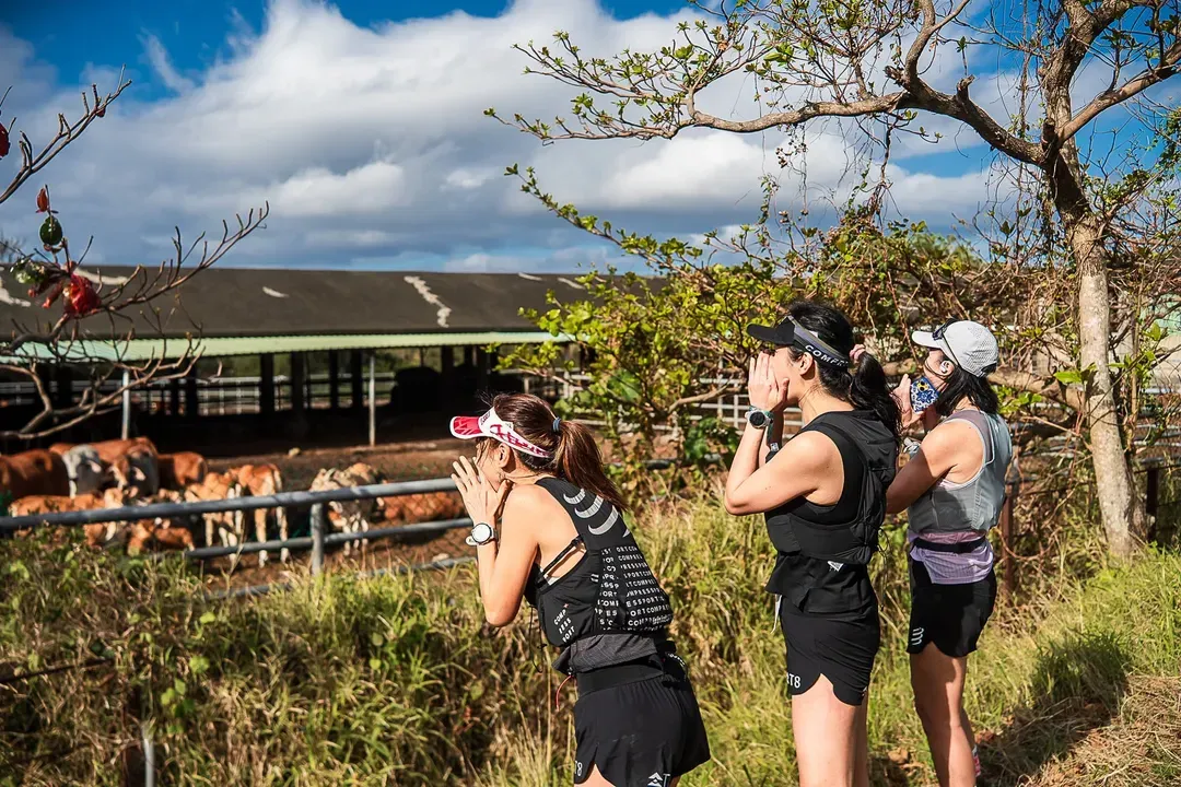 【 2027 屏東墾丁 Xtrail by UTMB 越野賽 】2 晚墾丁夏都住宿＋3/7賽事當日接駁｜選購高鐵來回套票（不含參賽權）-6