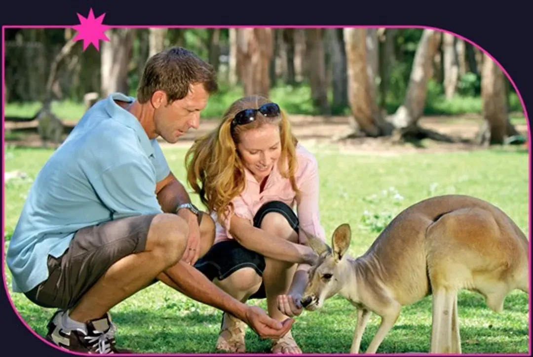Currumbin Wildlife Sanctuary