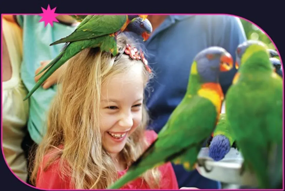 Currumbin Wildlife Sanctuary