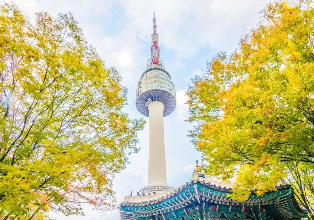旅展優惠｜韓楓再起｜首爾｜楓紅湖景.秋天金黃銀杏街道.楓葉隧道.絕美極光道.弘大明洞半日逛五日