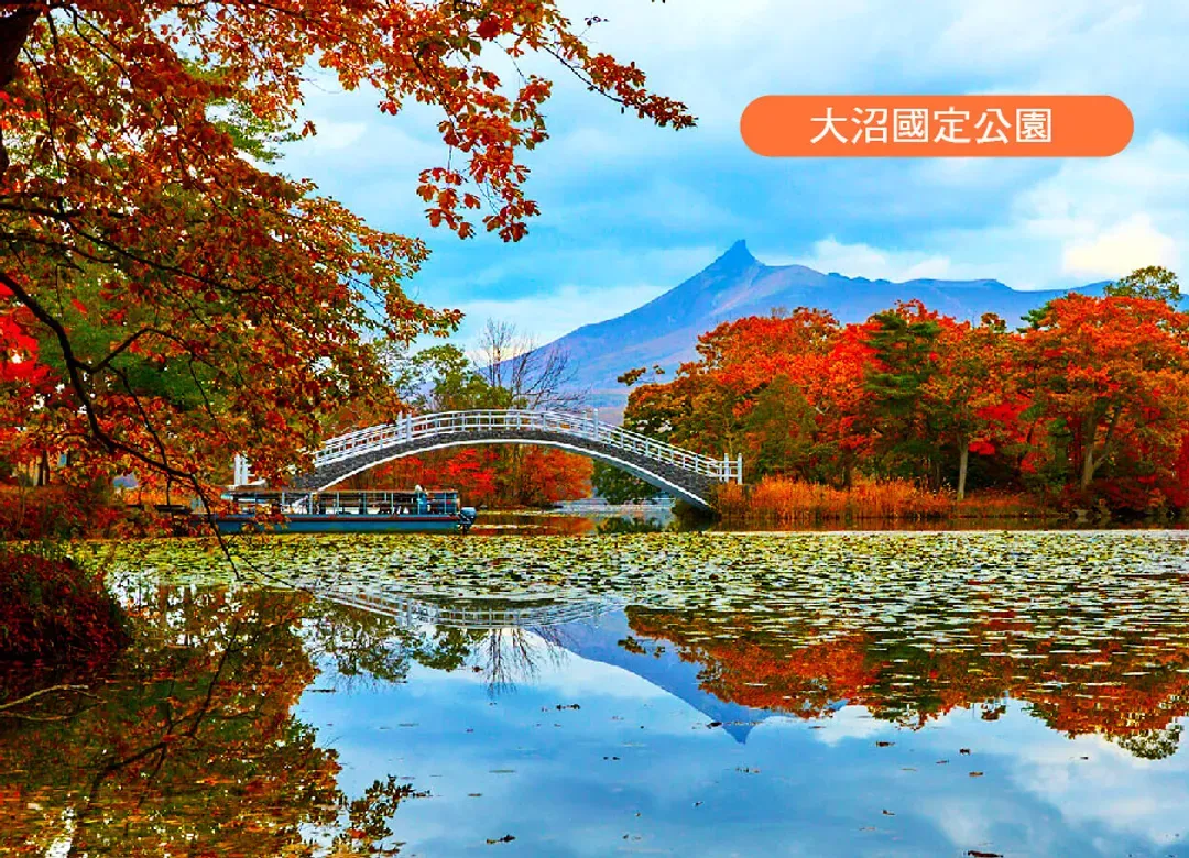 【北海道秋日限定】北海道楓葉溫泉5日.保住兩晚溫泉.米其林函館夜景纜車.洞爺湖.熊牧場.大沼紅葉.小樽漫遊.夜賞湖上花火