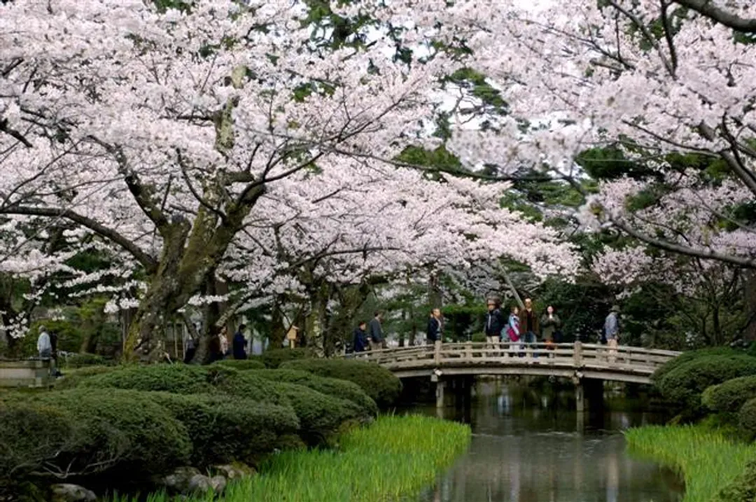 金澤兼六園