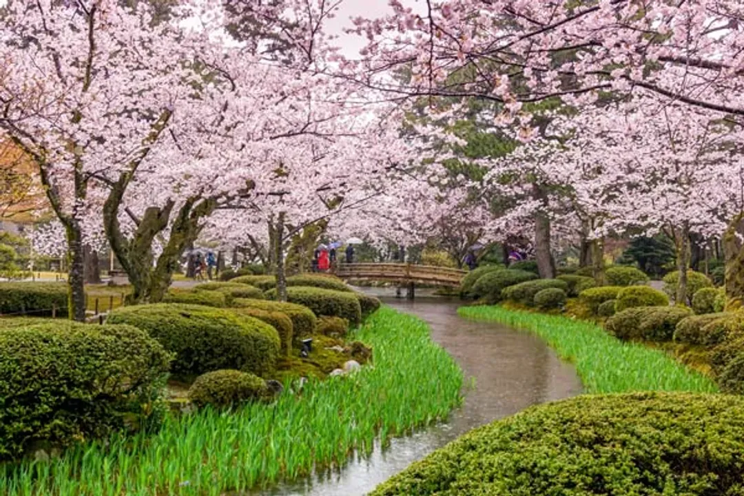北陸櫻紛飛～櫻百選高岡古城、新穗高纜車、合掌村兼六園、庄川峽遊覽船五日