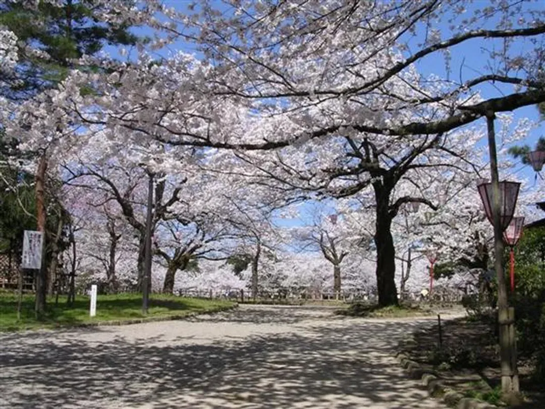 高岡古城公園