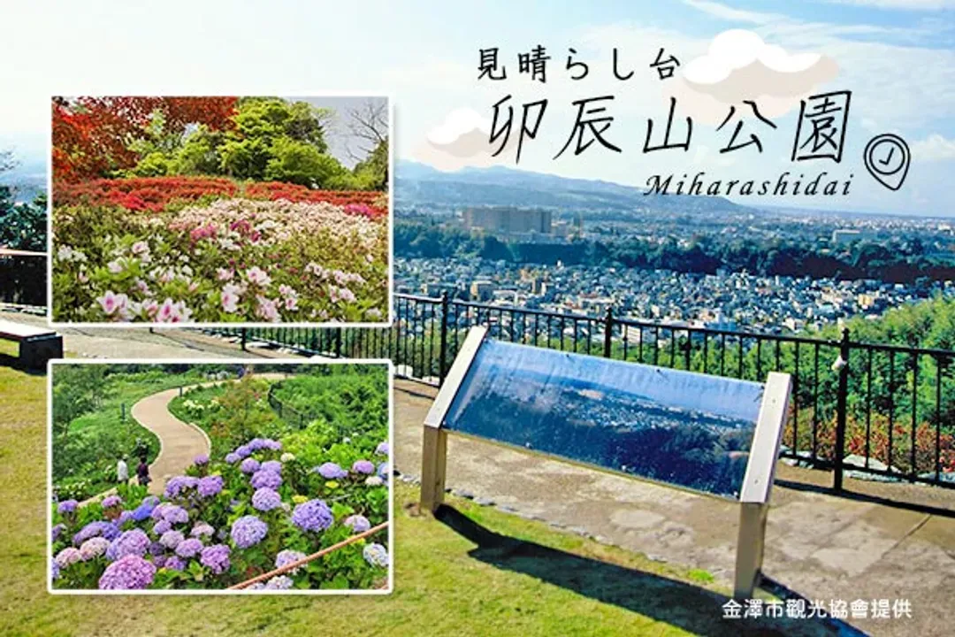 北陸櫻紛飛～櫻百選高岡古城、新穗高纜車、合掌村兼六園、庄川峽遊覽船五日-6