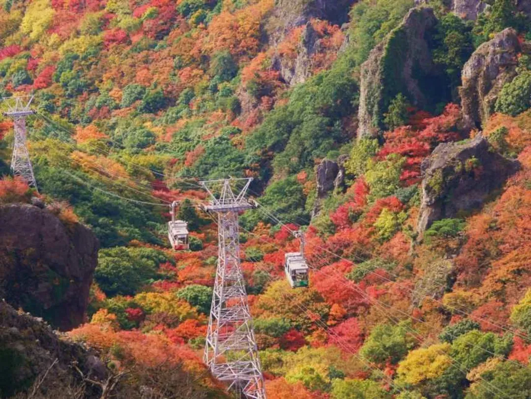 魔女小豆島