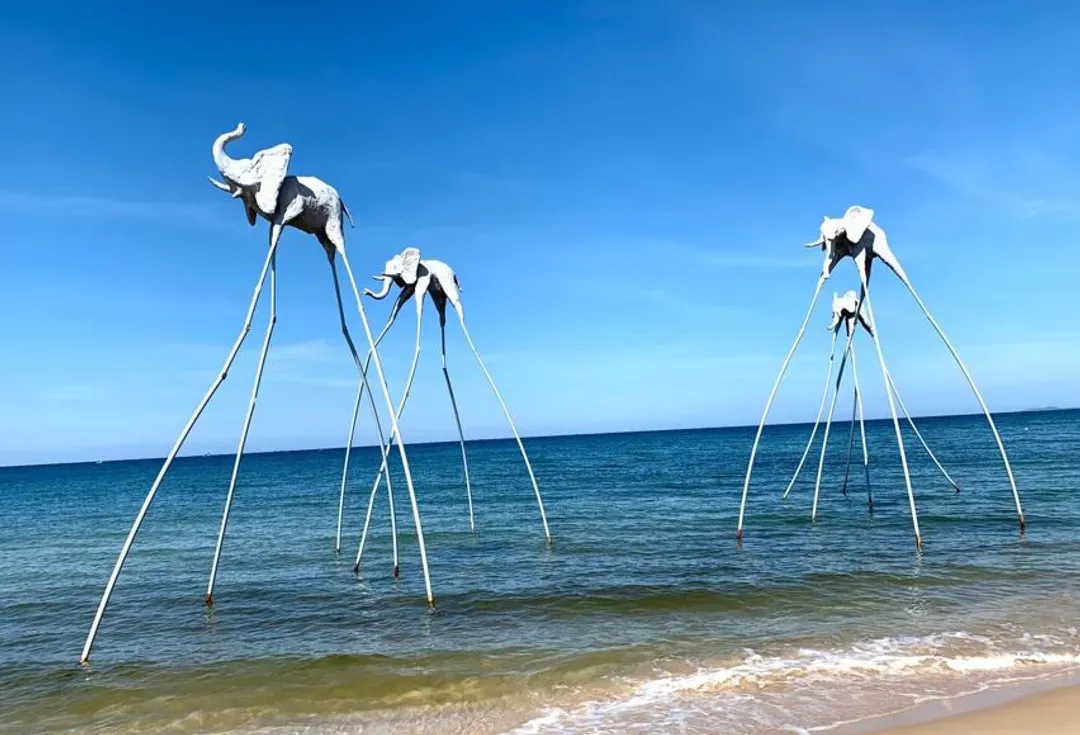 異型沙灘(椰子一顆)
