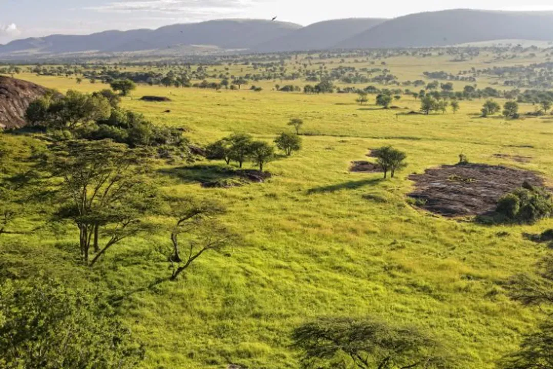 Serengeti National Park-塞倫蓋提國家公園