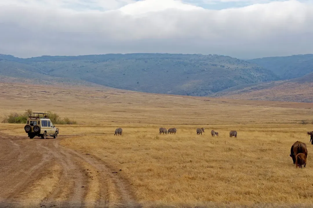 Ngorongoro Conservation Area-恩戈羅恩戈羅自然保護區