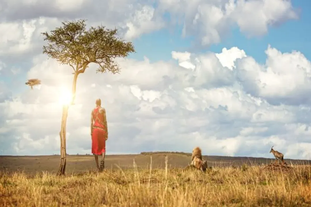 馬賽馬拉動物保護區 Masai Mara Travel-馬賽馬拉自然保護區