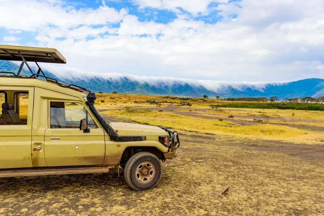 Ngorongoro Conservation Area-早鳥優惠