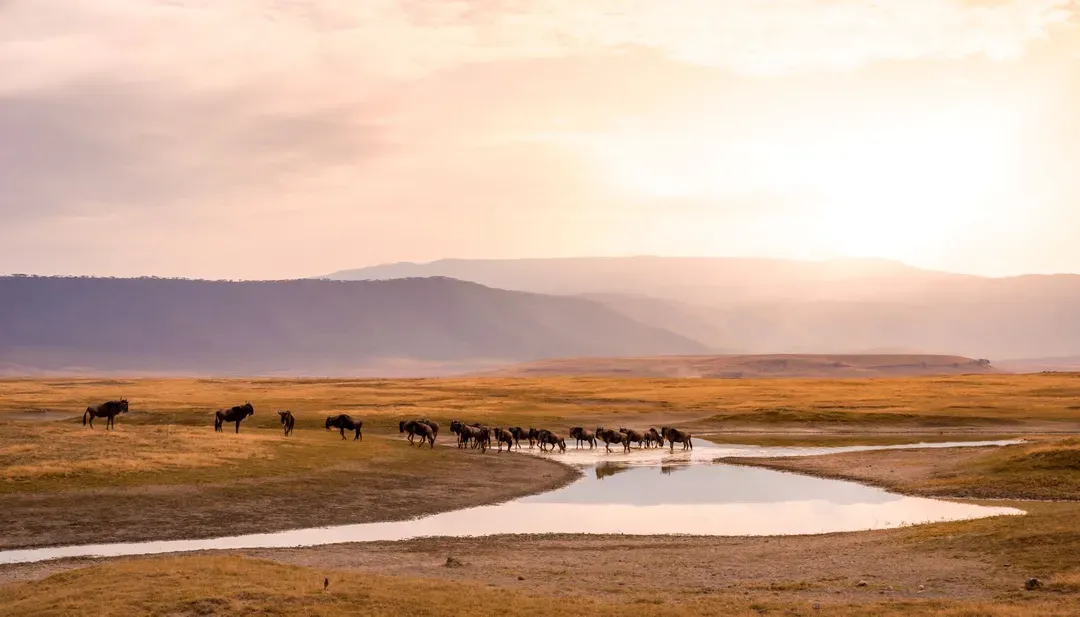 Ngorongoro Conservation Area-恩戈羅恩戈羅自然保護區