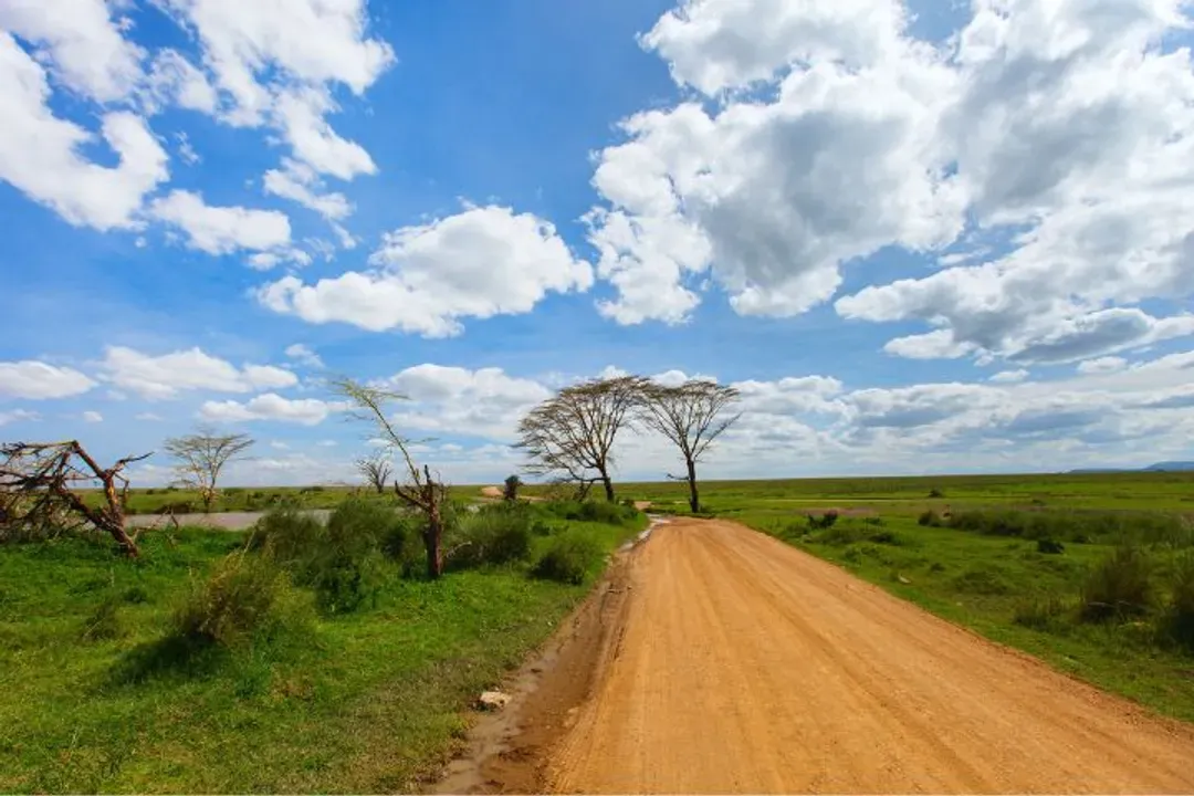 Serengeti National Park-塞倫蓋提國家公園