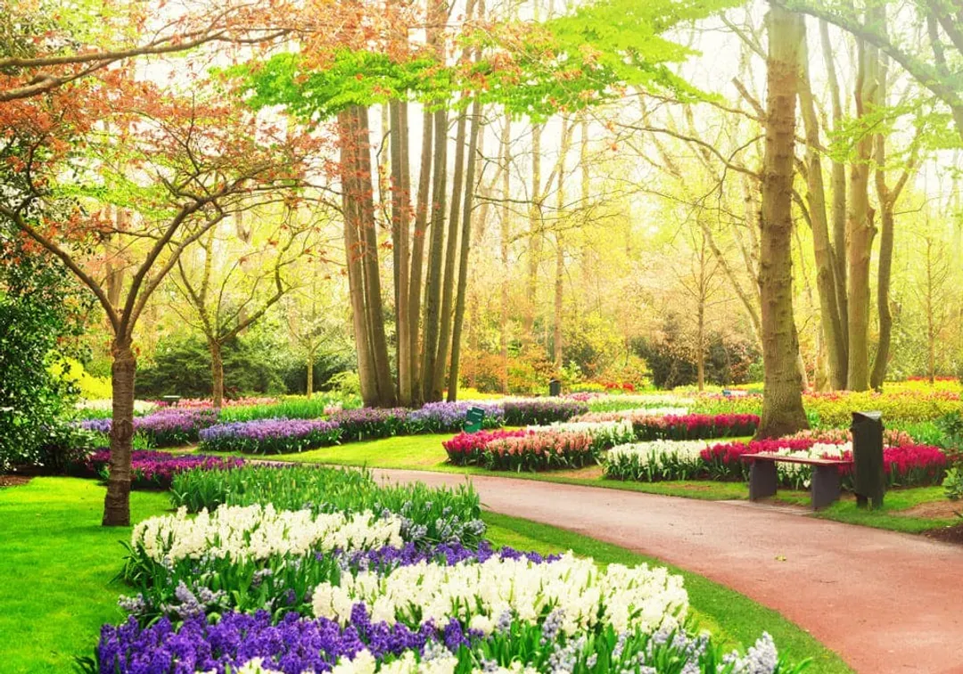 庫肯霍夫花園